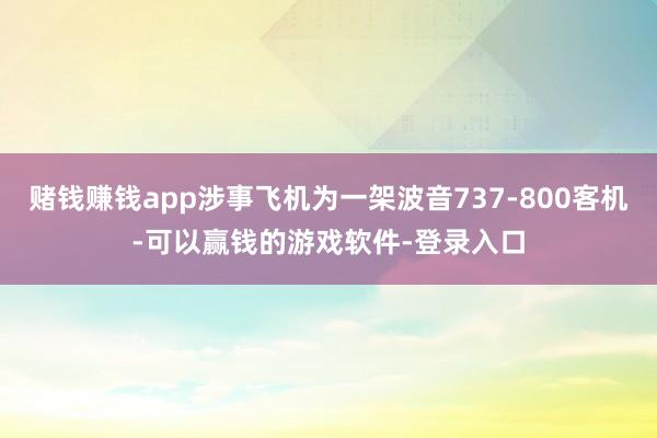 赌钱赚钱app涉事飞机为一架波音737-800客机-可以赢钱的游戏软件-登录入口