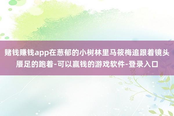 赌钱赚钱app在葱郁的小树林里马筱梅追跟着镜头餍足的跑着-可以赢钱的游戏软件-登录入口